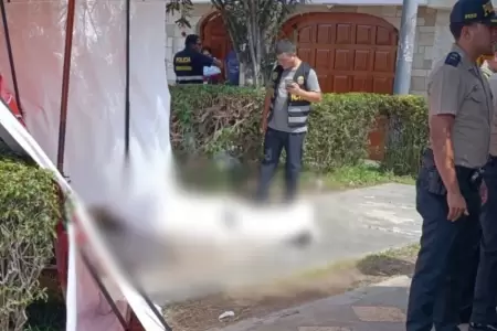 Terror en Bellavista